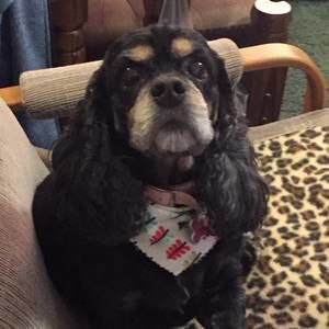 Meet your Posher, Sharon